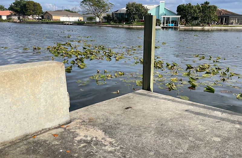 Seawall Repair Seawall Repair